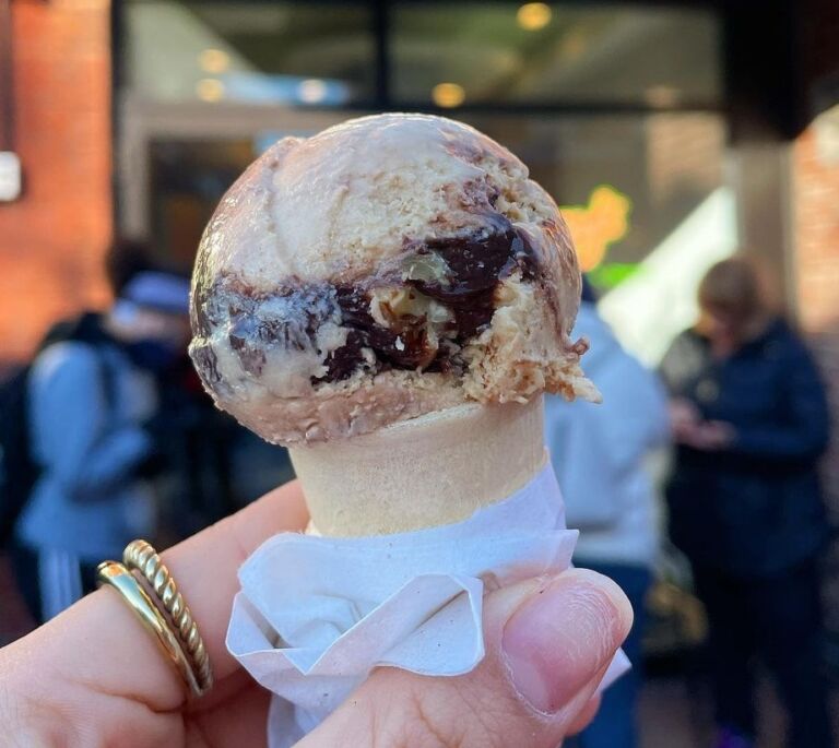 Taste of Chocolate Weekend in Harvard Square Harvard Square