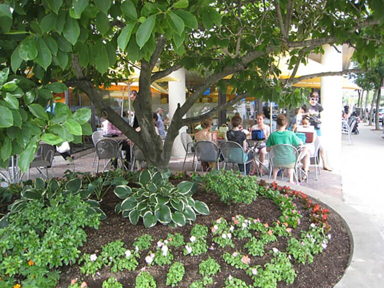 the greenery